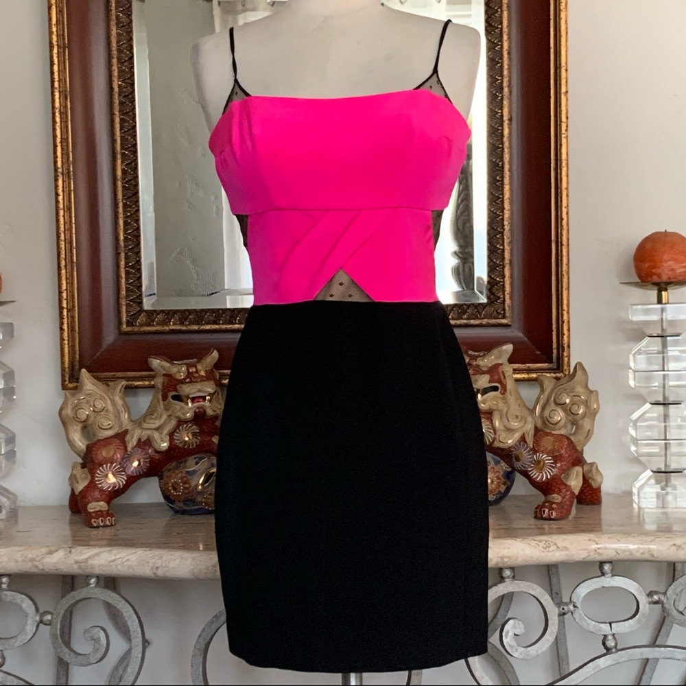 NOAM HANOCH Pink And Black Dress Sheer Back EUC